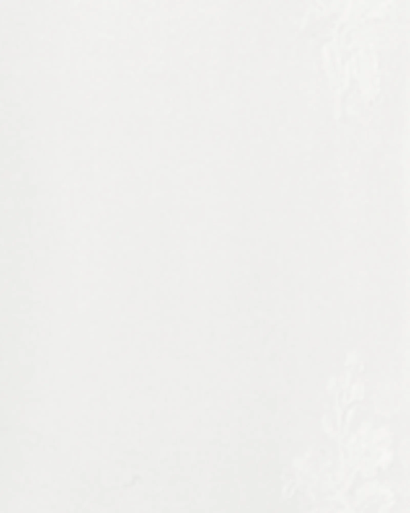 Bailee Detailed Top | White