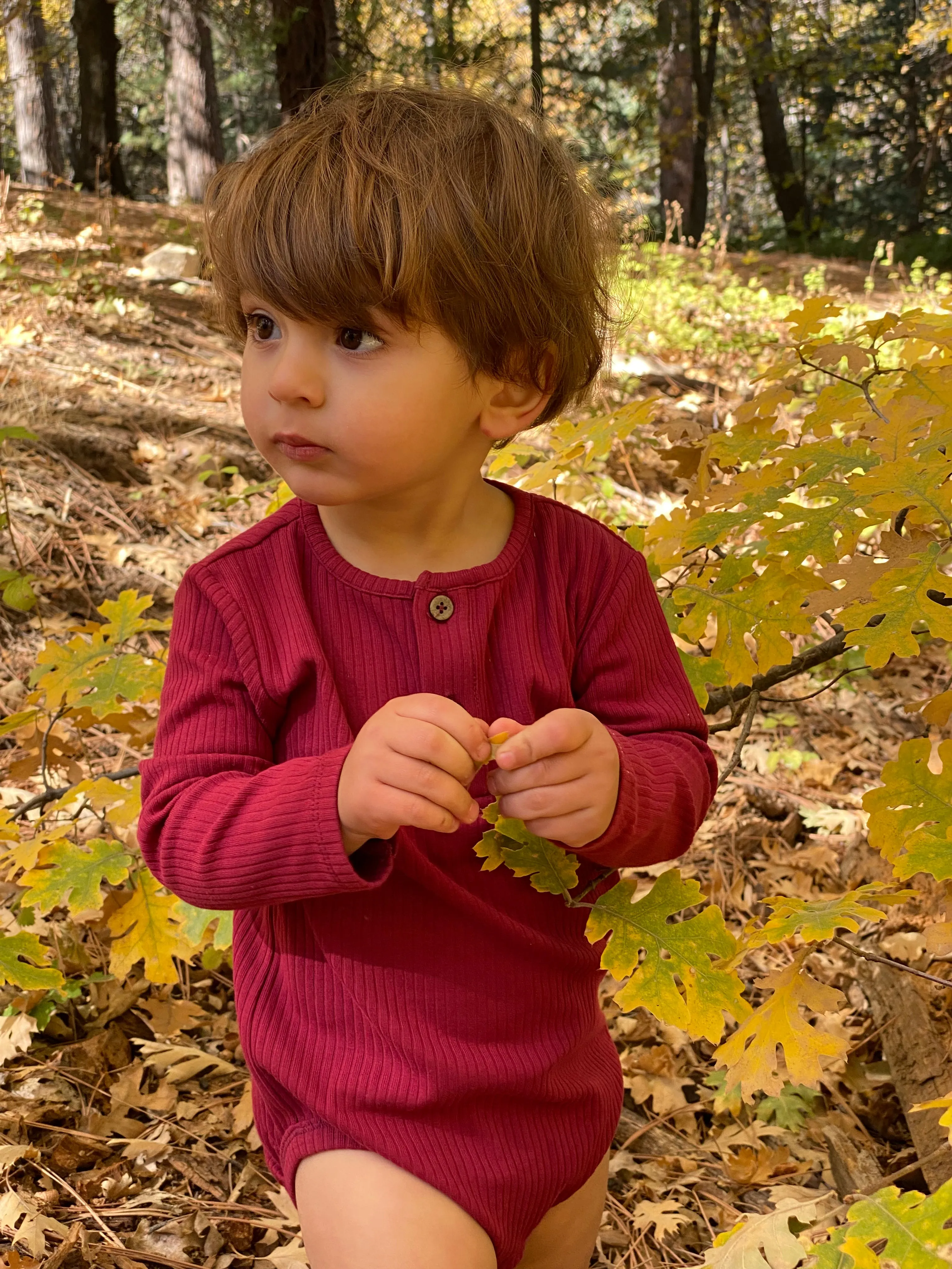 Kytto onesie/t-shirt in burgundy