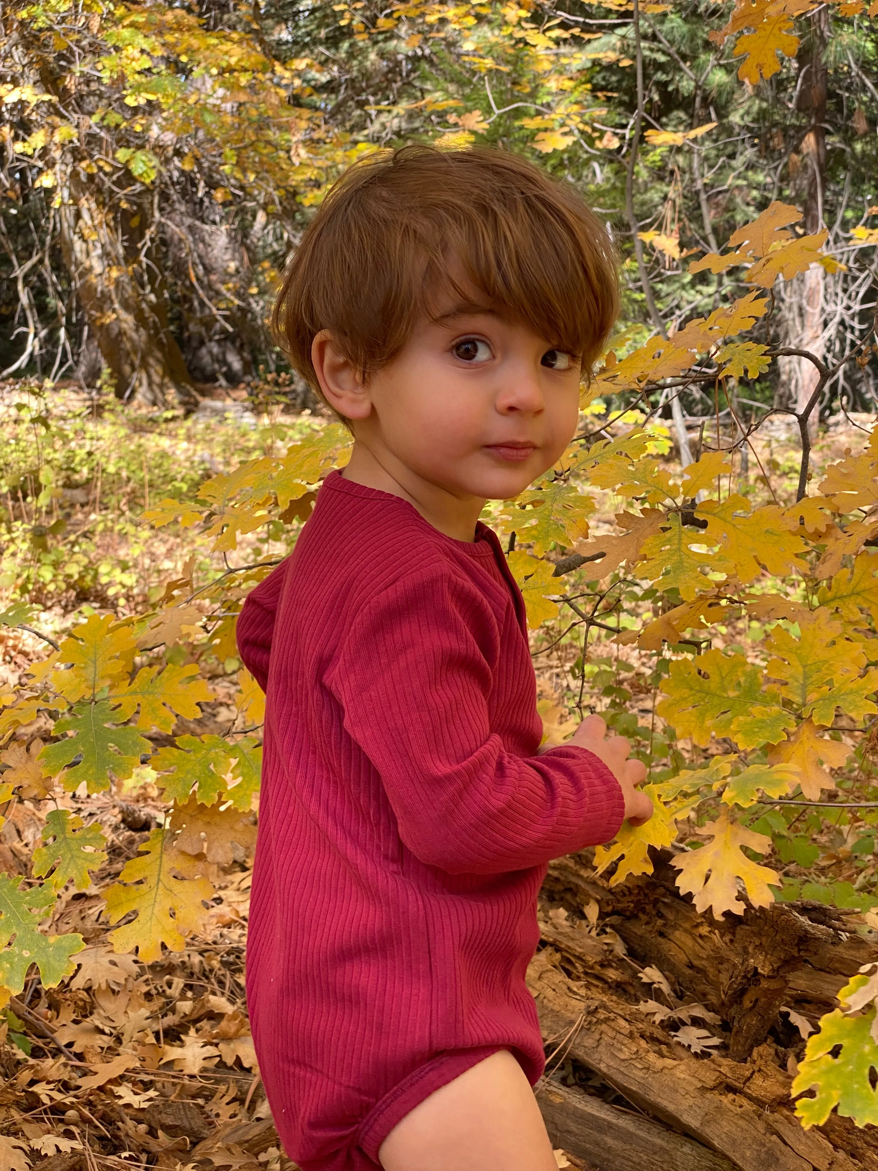 Kytto onesie/t-shirt in burgundy