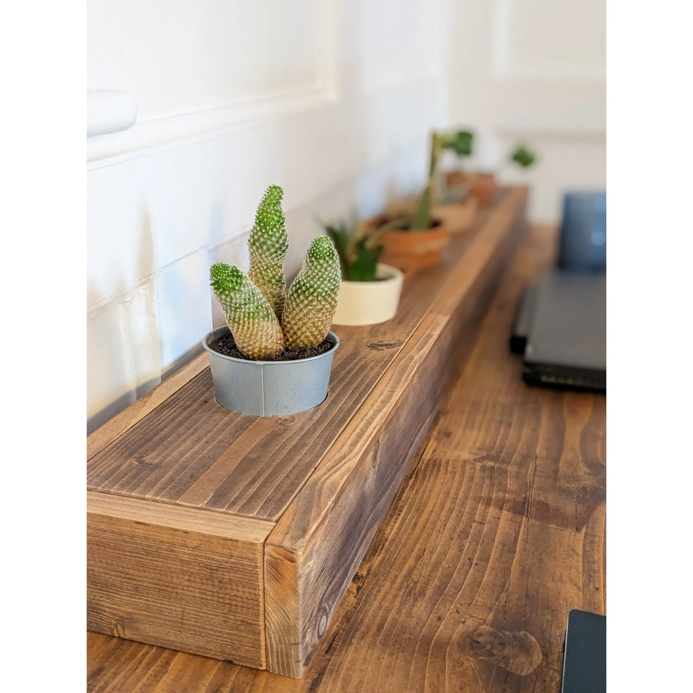NIDHI: Handmade Plant Display Rack, for Desks, Tables, Windowsills